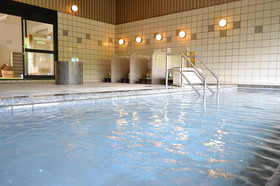 南紀月の瀬温泉(ぼたん荘)の写真2