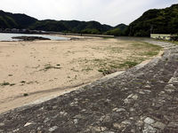 田原海水浴場の写真